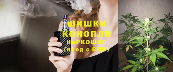 ECSTASY Лагань