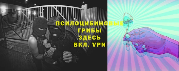 ECSTASY Лагань