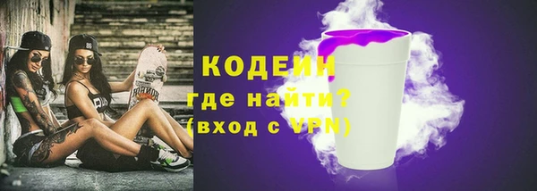 ECSTASY Лагань