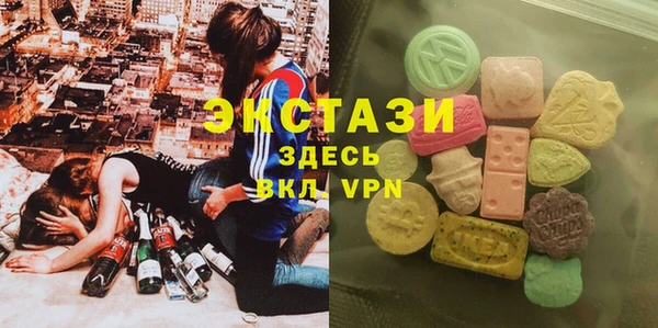 ECSTASY Лагань