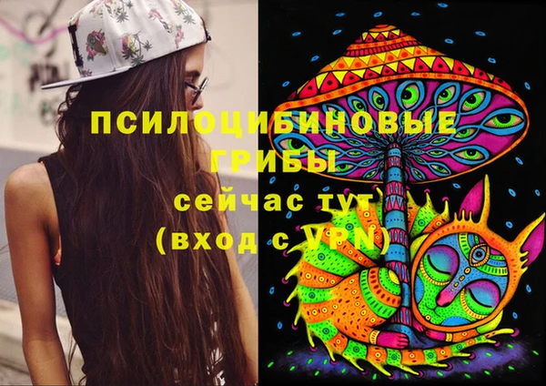ECSTASY Лагань