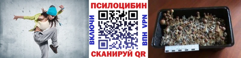 Псилоцибиновые грибы Cubensis  Купить где  Советская Гавань 