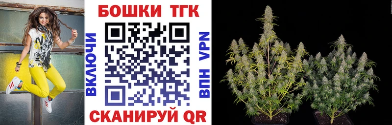 Купить  Советская Гавань  Каннабис Amnesia 